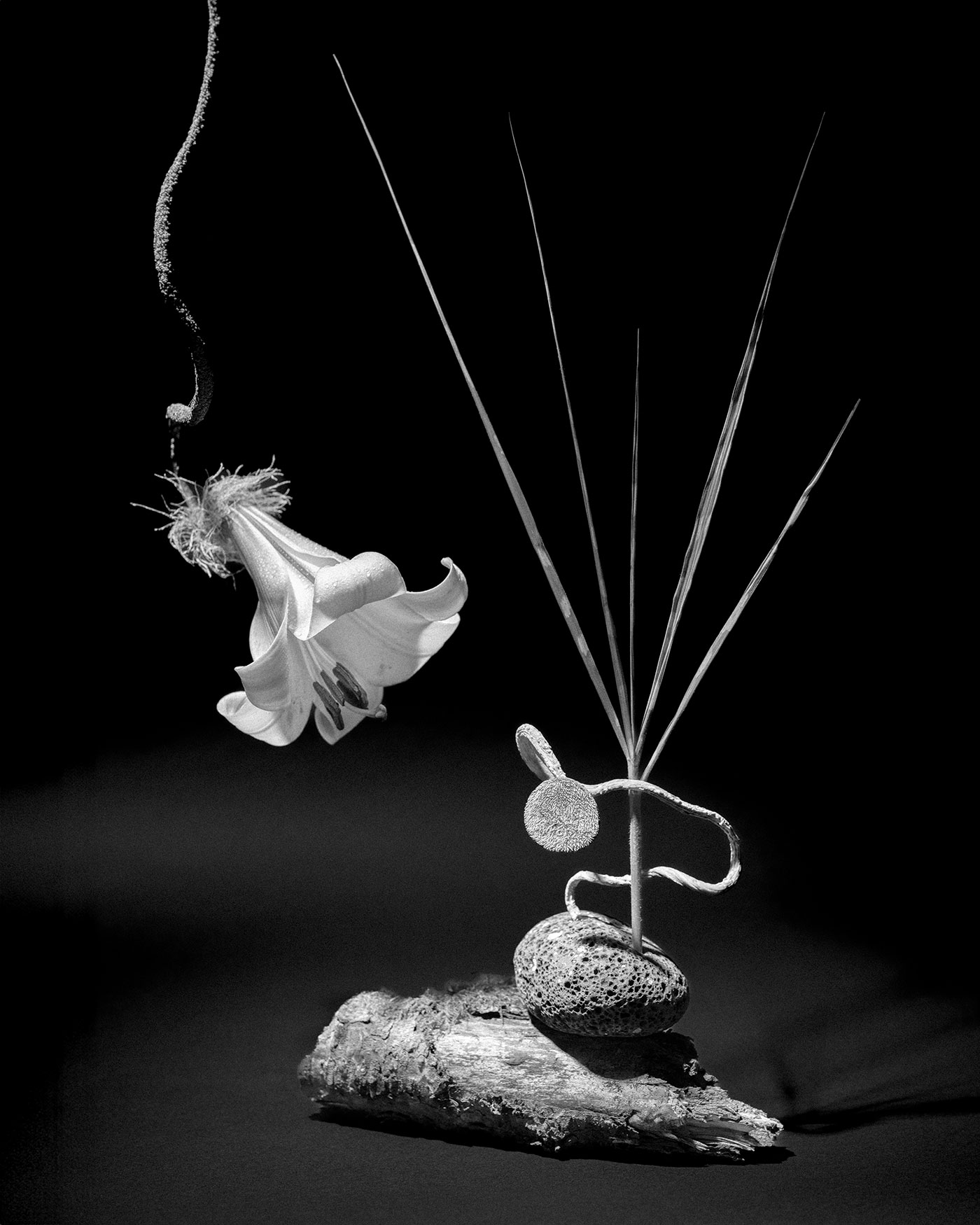 ストーリー | アーツアンドカルチャー | WAKO公式オンライン